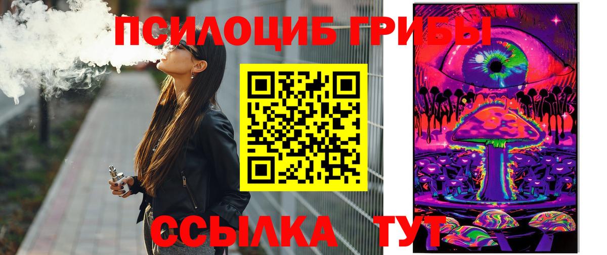 Заводоуковск  Псилоцибиновые грибы мицелий  Галлюциногенные грибы Psilocybe  Вход с VPN 